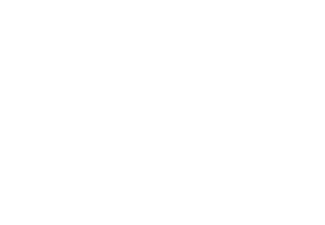 Reijrink SVG
